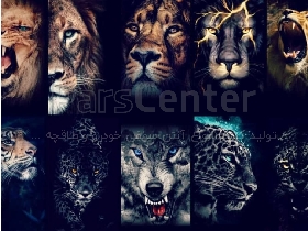 تولید و پخش کننده انواع آنتن ، و لوازم لوکس خودرو