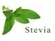 استویا