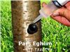 تزریق مستقیم مواد مغذی به تنه درختان