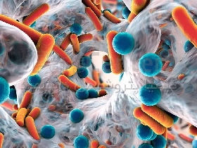 کلرو متیل ایزوتیازولین (CMIT) ضد قارچ و باکتری برای صنایع