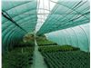 توری سایبان گلخانه uv دار 80% سایه انداز در عرض های مختلف