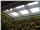 پوشش سقف پاسیو با نورگیر حبابی
