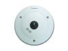 دوربین تحت شبکه ژئوویژن GV-FE2301