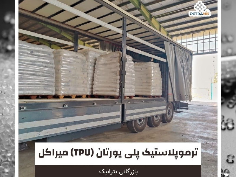 شرکت بازرگانی پترانیک