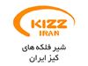 شیر فلکه های صنعتی کیز ایران