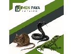 دستگاه ازبین برنده سوسک