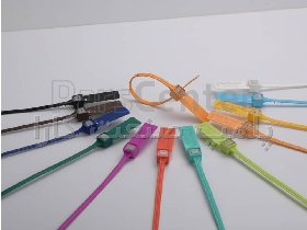 پلمپ امنیتی