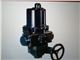 Electric Valves Actuator