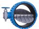 Butterfly Valve and Flanges from Iran to Turkmenistan