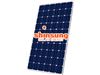 پنل خورشیدی 270 وات Shinsung