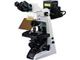 میکروسکوپ بیولوژی نیکون مدل Eclipse E200