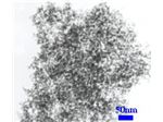 نانو اکسید سلسیوم Nano SiO2 ( نانو سیلیکا )