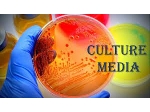 شیمیایی، بیوتکنولوژی و تحقیقاتی چم بیوتک