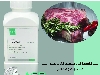 ناتامایسین ضد کپک و مخمر نگهدارنده طبیعی سیلور نیوزلند در فرآورده های گوشتی و لبنیات اصل