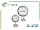 فشارسنج دیافراگمی لابوم LABOM BH5120 ECO استیل IP65