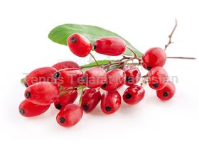 Export of  barberry juice concentrate to Malaysia