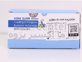 کیت استخراج DNA از گیاه GenExir