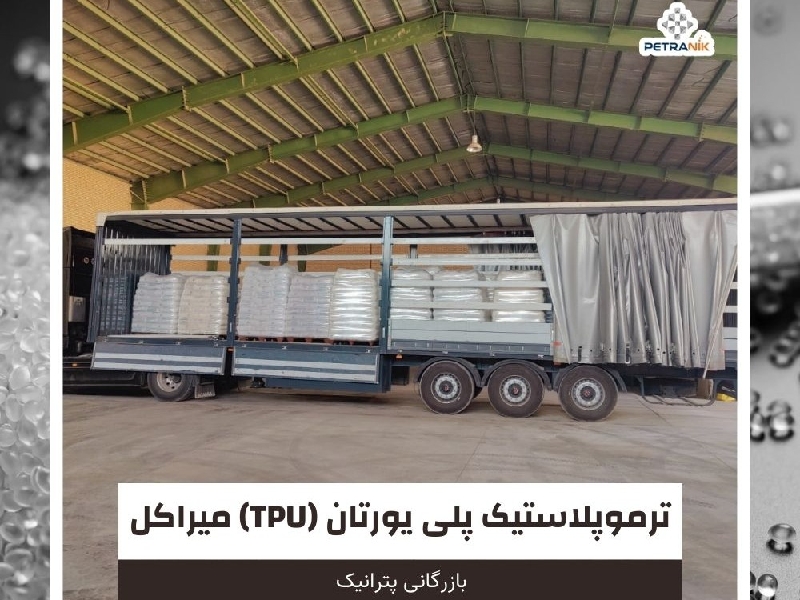 شرکت بازرگانی پترانیک