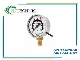 پرشر سوئیچ گیج WIKA PGS11 رنج 0 تا 400 بار مخصوص CO2
