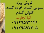 سبوس گندم ، خرده گندم ، گلوتن گندم