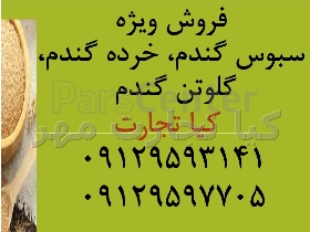 سبوس گندم ، خرده گندم ، گلوتن گندم