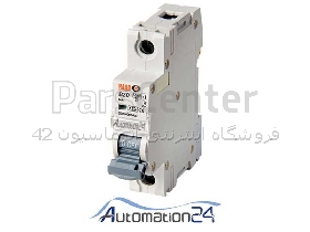 کلید مینیاتوری رعد تکفاز 20 آمپر تیپ B