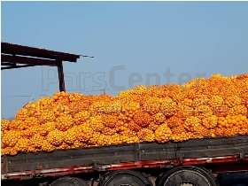 تفاله پرتغال