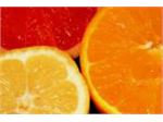 تولید و فروش کنسانتره پرتقال