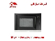 مایکروویو مدل MS251 استیل البرز