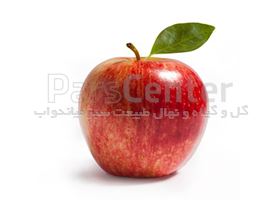 نهال میوه سیب گالا