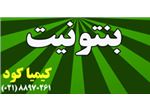 فروشنده بنتونیت