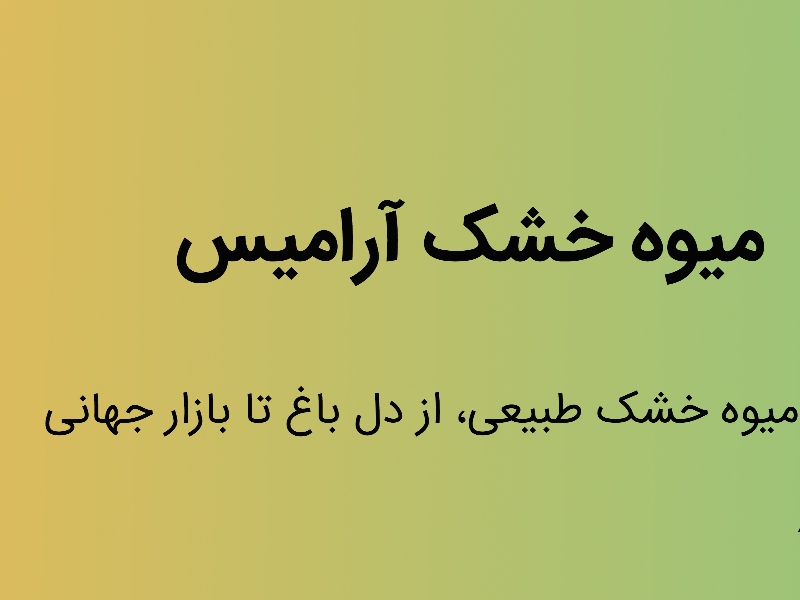تامین کننده میوه خشک آرامیس