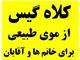 خرید سفارشی کلاه گیس زنانه و کلاه گیس مردانه  فقط از موی طبیعی انسان برای خانم ها و آقایان