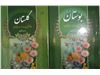کتاب دو جلدی بوستان و گلستان اثر شاعر معاصر سعدی شیرازی