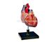 مولاژ قلب