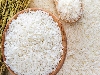 برنج حسن سرایی آستانه- برنج حسن سرا معطر آستانه- برنج حسن سرا دودی خوش پخت آستانه - مجموعه بزرگ تولید و عرضه برنج وستا