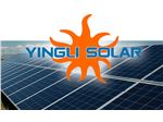 پنل خورشیدی Yingli 250w