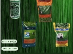 بذرچمن سوپر اسپرت هلندی  ، انواع بذر چمن خارجی و ایرانی