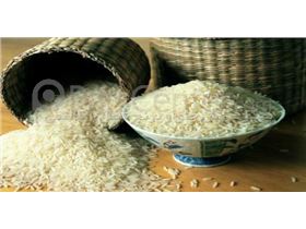 فروش ویژه و فوری 2 تن برنج هاشمی