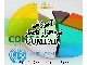 آموزش نرم افزار کامفار COMFAR