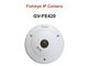 دوربین مداربسته تحت شبکه ژئوویژن تایوان GV-FE421