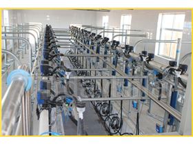 Rubber twin tube for milking machine