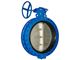 Butterfly Valve with Flange Iran