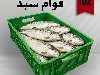 سبد ماهی قزل آلا سبد 20کیلویی ماهی