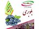 درخت بلوبری در سال 1402