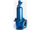 safety and relief valve(LESER)