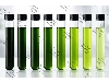 رنگ کلروفیل مایع حلال در آب برند (SENSIENT) آلمانی در انبار تهران