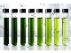 رنگ کلروفیل مایع حلال در آب برند (SENSIENT) آلمانی در انبار تهران
