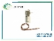 ترموستات Honeywell T678D1004 رنج 55 تا 90°F | کنترلر دما 120/240VAC