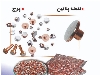 نقطه پلاتین (کنتاکت پرچ )